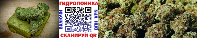 Canna-Cookies марихуана  хочу   Ужур 