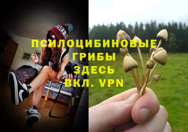 марки lsd Алзамай